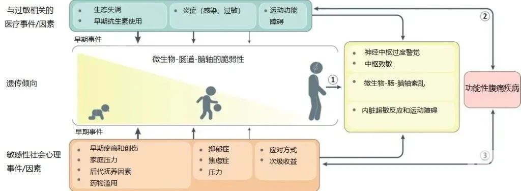 运城众泰肛肠医院：孩子为什么会出现功能性消化不良?