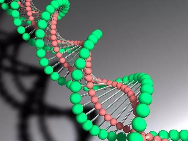 运城众泰肛肠医院：结肠炎四大病因是什么？